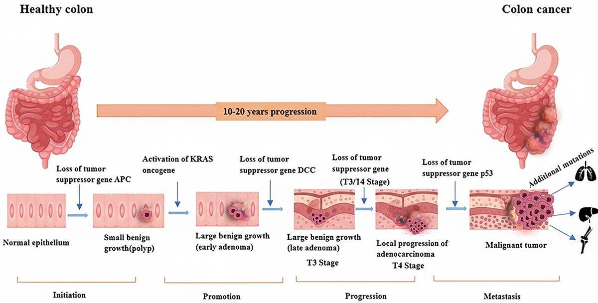 Figure 1 Refer to the following caption and surrounding text.