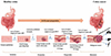Thumbnail: Figure 1 Refer to the following caption and surrounding text.