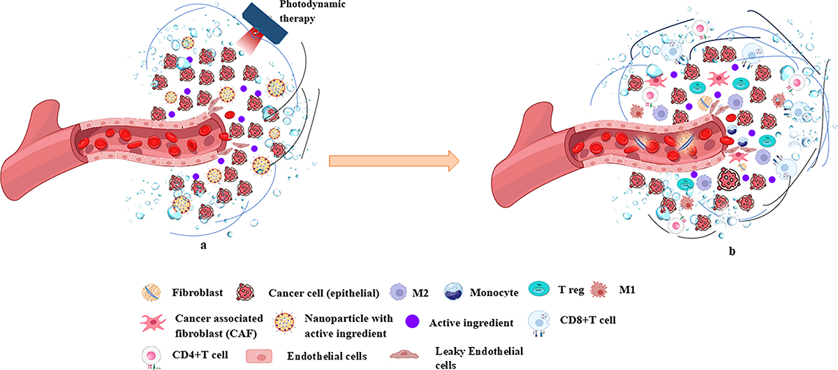 Figure 2 Refer to the following caption and surrounding text.