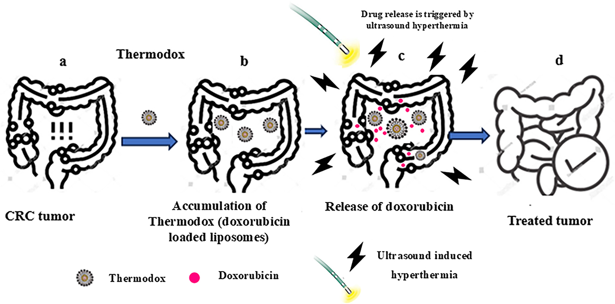 Figure 6 Refer to the following caption and surrounding text.