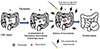 Thumbnail: Figure 6 Refer to the following caption and surrounding text.